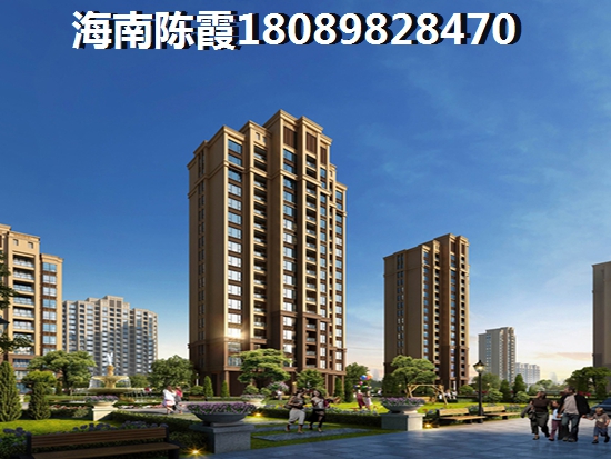新汇东海岸 一居  户型图