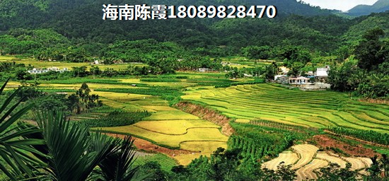 海通时代康桥 建筑规划 